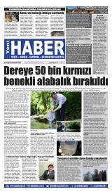 YENİ HABER