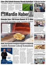 MARDİN HABER