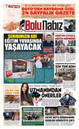 BOLU NABIZ