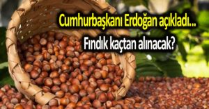 Cumhurbaşkanı Erdoğan açıkladı… Fındık kaçtan alınacak?