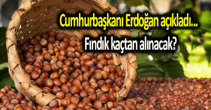Cumhurbaşkanı Erdoğan açıkladı… Fındık kaçtan alınacak?