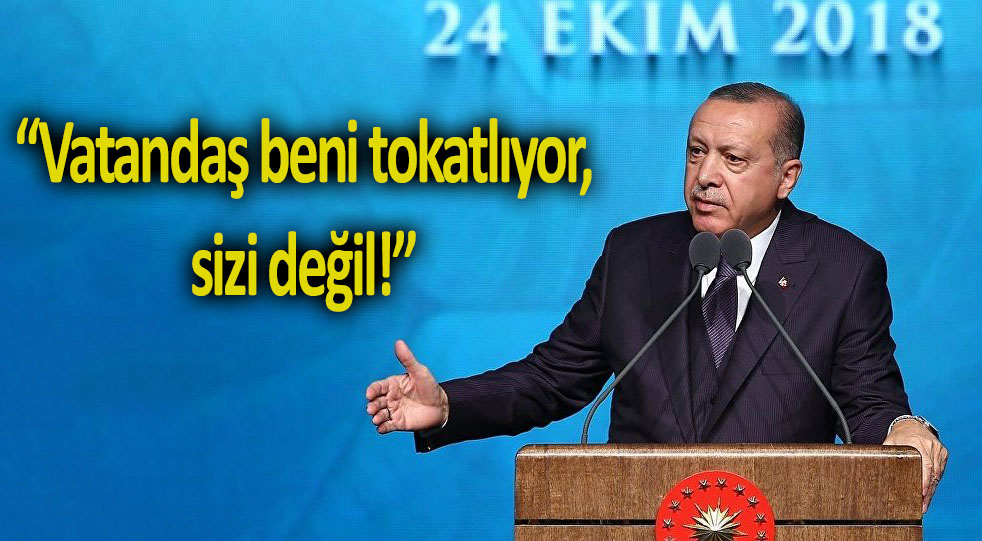 Erdoğan’dan Danıştay’a ‘Andımız’ tepkisi: Vatandaş beni tokatlıyor, sizi değil