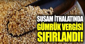 Susam ithalatında gümrük vergisi sıfırlandı
