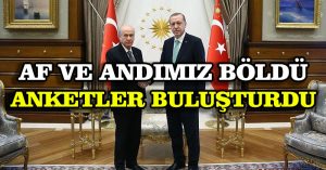 Af ve andımız böldü anketler buluşturdu