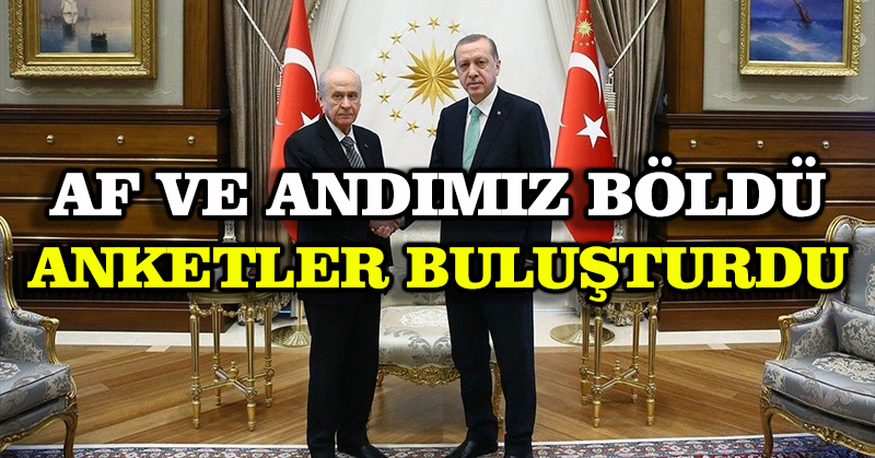 Af ve andımız böldü anketler buluşturdu