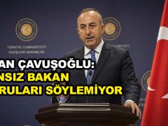 Bakan Çavuşoğlu: Fransız bakan doğruları söylemiyor
