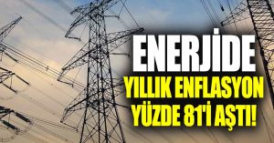 Enerji grubunda yıllık enflasyon % 81’i aştı