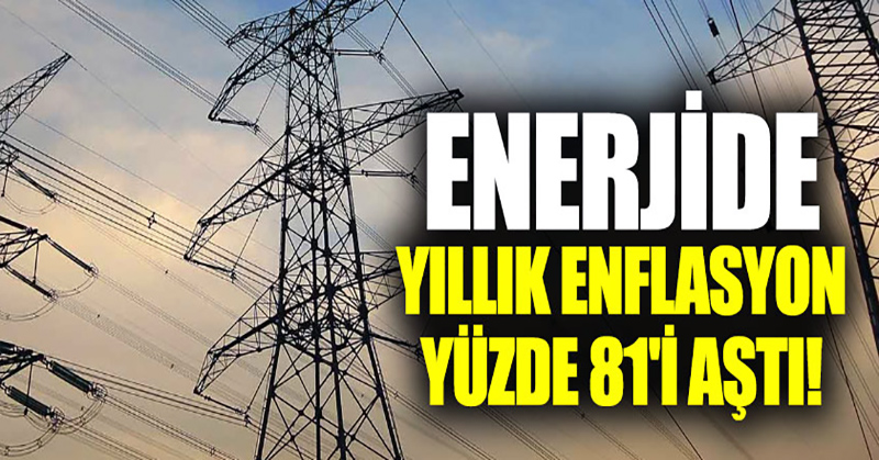 Enerji grubunda yıllık enflasyon % 81’i aştı