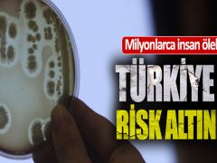 OECD’den bakteri alarmı: Türkiye’de risk altında