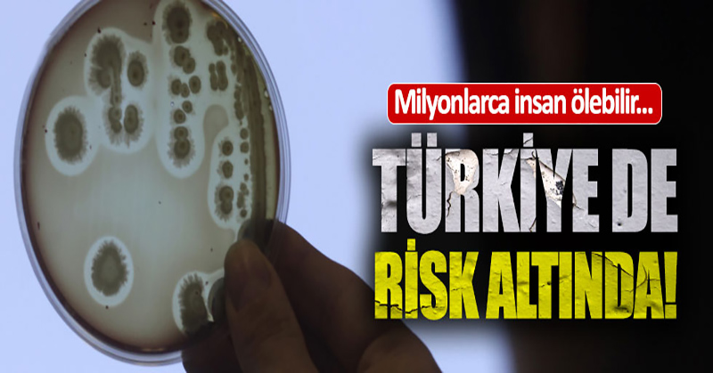 OECD’den bakteri alarmı: Türkiye’de risk altında