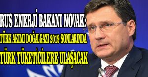 Rus Enerji Bakanı Novak: Türk Akımı doğalgazı 2019 sonlarında Türk tüketicilere ulaşacak