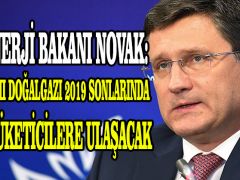 Rus Enerji Bakanı Novak: Türk Akımı doğalgazı 2019 sonlarında Türk tüketicilere ulaşacak