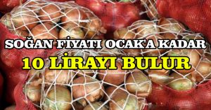 “Soğan fiyatı Ocak’a kadar 10 lirayı bulur”