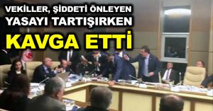 Vekiller, şiddeti önleyen yasayı tartışırken kavga etti