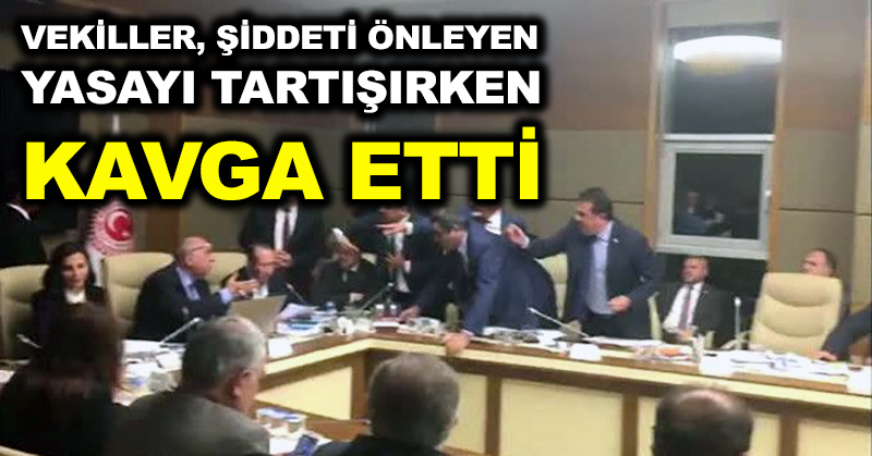 Vekiller, şiddeti önleyen yasayı tartışırken kavga etti
