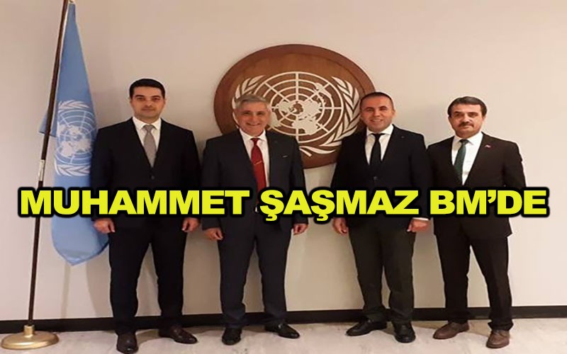 MUHAMMET ŞAŞMAZ BM’DE