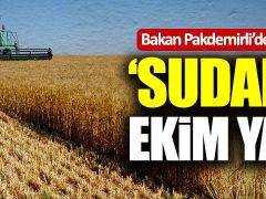 Tarım Bakanı Pakdemirli’den “Sudan’da ekim yapın” çağrısı