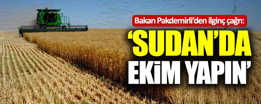 Tarım Bakanı Pakdemirli’den “Sudan’da ekim yapın” çağrısı