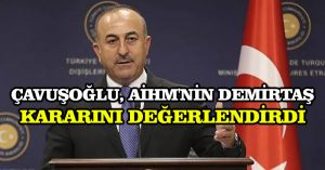Çavuşoğlu, AİHM’nin Demirtaş kararını değerlendirdi