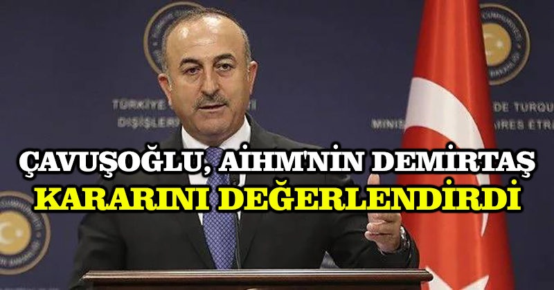 Çavuşoğlu, AİHM’nin Demirtaş kararını değerlendirdi