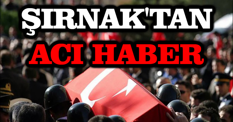 Şırnak’tan acı haber