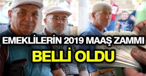 Emeklilerin 2019 maaş zammı belli oldu