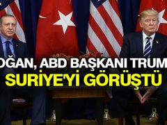 Erdoğan, ABD Başkanı Trump ile Suriye’yi görüştü