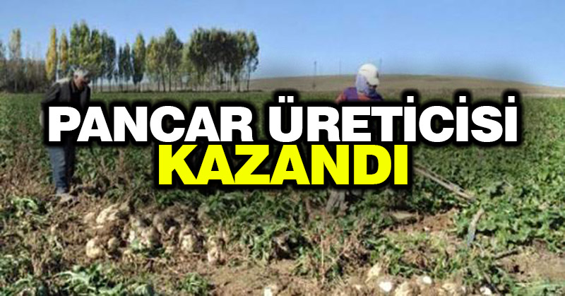 Pancar üreticisi kazandı
