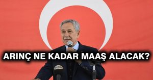 Arınç ne kadar maaş alacak?