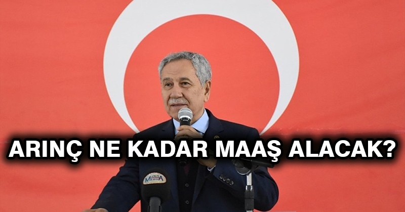 Arınç ne kadar maaş alacak?