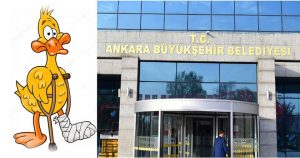 TOPAL ÖRDEK DEVRİMİ
