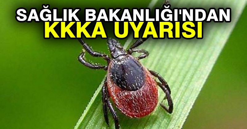 sağlık bakanlığından kkka uyarısı doruktÜrk merkez