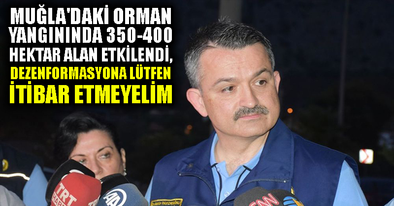 Pakdemirli: Muğla’daki orman yangınında 350-400 hektar alan etkilendi, dezenformasyona lütfen itibar etmeyelim
