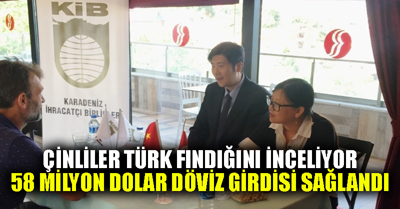 Çinliler Türk fındığını inceliyor: 58 milyon dolar döviz girdisi sağlandı