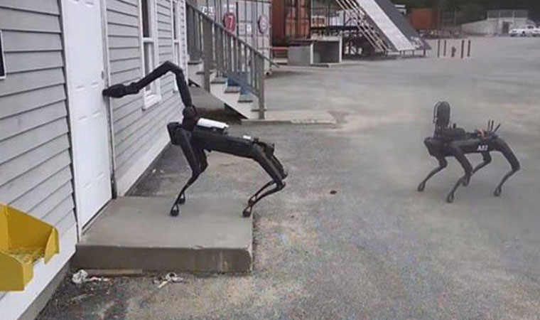 Robot polis köpekleri göreve başladı!