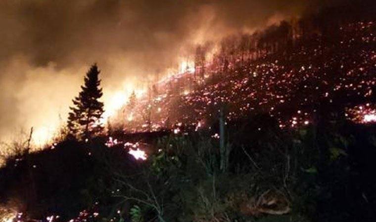 “Su uyur, Orman uyur, Düşman uyumaz!