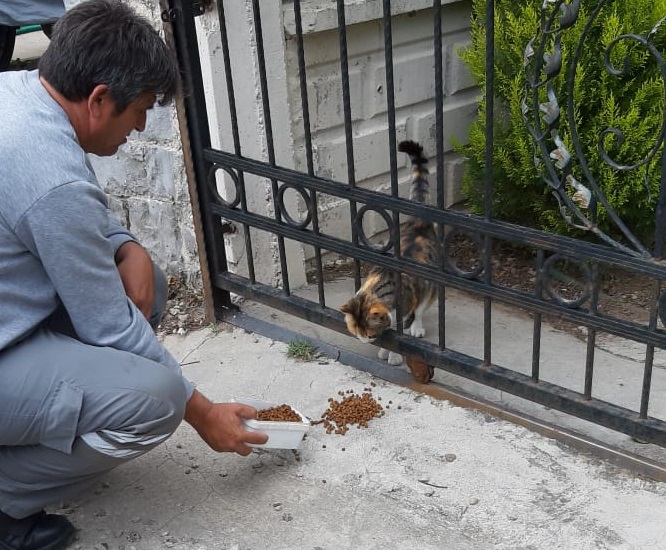 FETHİYE BELEDİYESİ SOKAK HAYVANLARI İÇİN PARK VE BAHÇELERE MAMA BIRAKIYOR