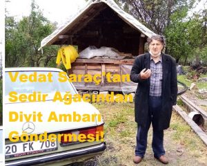 Vedat Saraç’tan Sedir Ağacından Divit Ambarı Göndermesi!