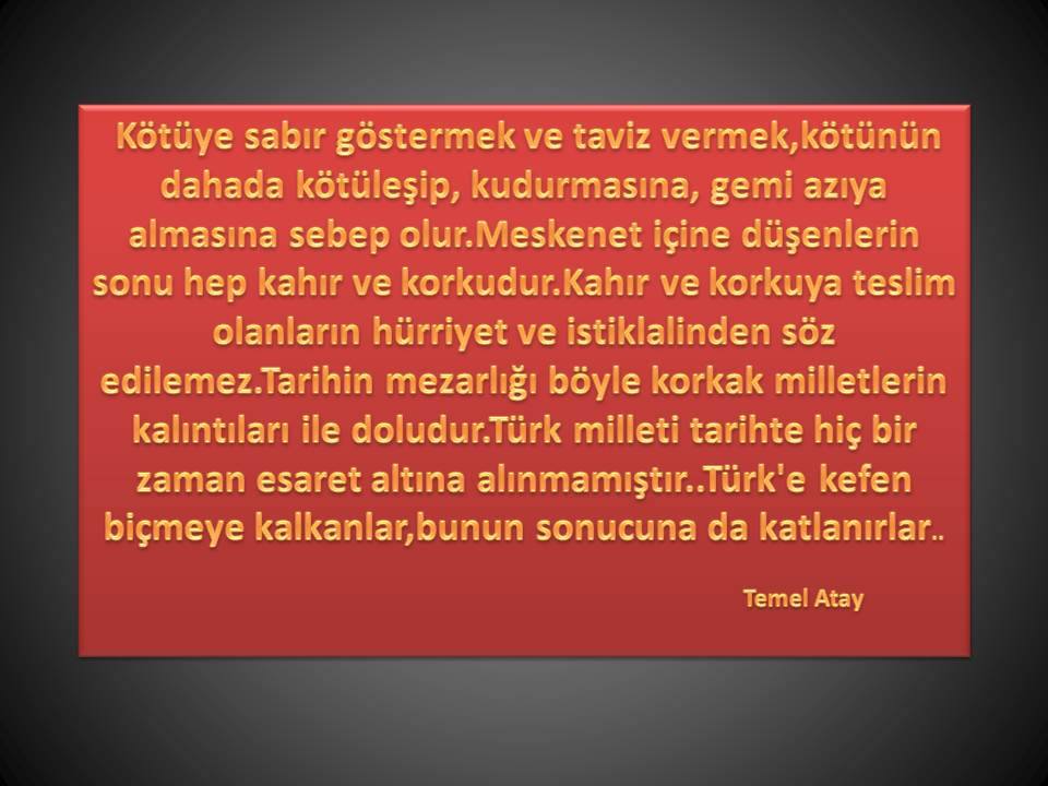 BÜYÜK TÜRK BİRLİĞİ