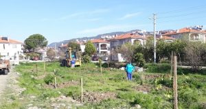 ORTACA BELEDİYESİ’NİN  AĞAÇ VE FİDAN DİKİM ÇALIŞMALARI TAM GAZ!