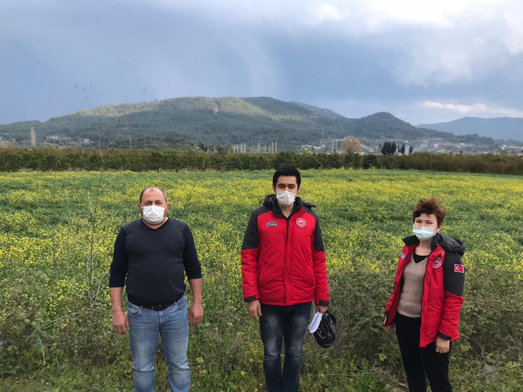 Muğla’da Üç Ayrı Projeyle Yem Bitkisi Üretimi Artıyor