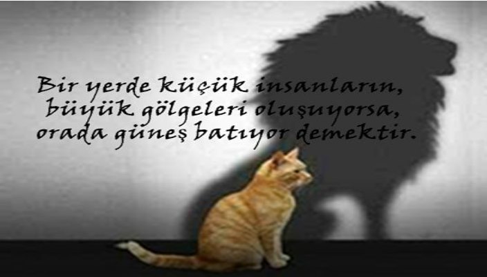 BÜYÜDÜK MÜ EYYY GÖLGELER?