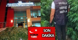 BU SERA BAŞKA SERA!!!  Dalaman Narkotik Suçlarla Mücadele Grup Amirliğinden sera baskını. Bir tutuklama daha…