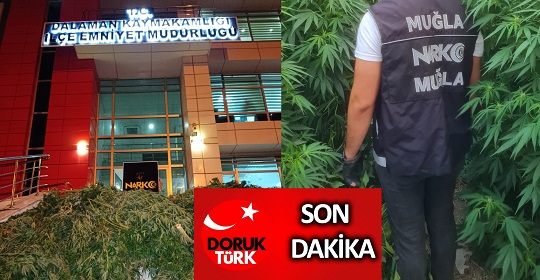 BU SERA BAŞKA SERA!!!  Dalaman Narkotik Suçlarla Mücadele Grup Amirliğinden sera baskını. Bir tutuklama daha…