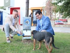 Milas’ta 4 Ekim Sokak Hayvanları Koruma Günü Kutlandı. Sokak Hayvanlarına 5 ton mama bağışlandı