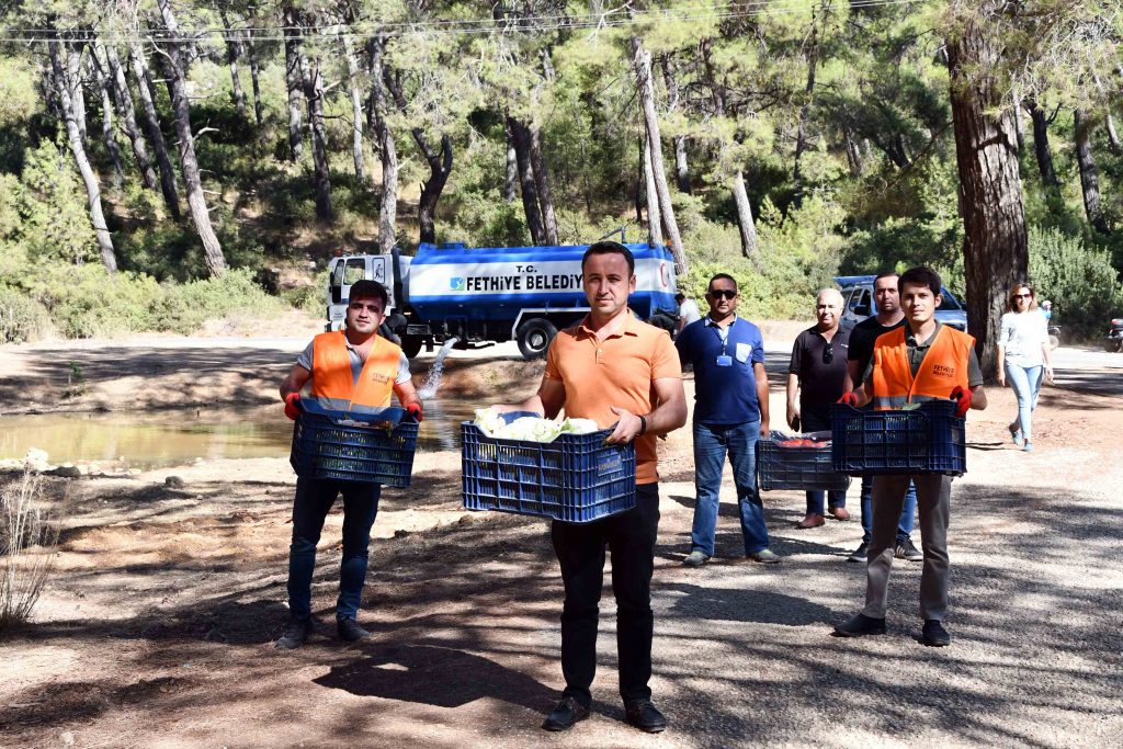 Yaban hayvanları için ormana yiyecek götürdüler