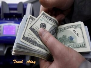 BEN YAZDIM YAZACAĞIMI! DOLAR