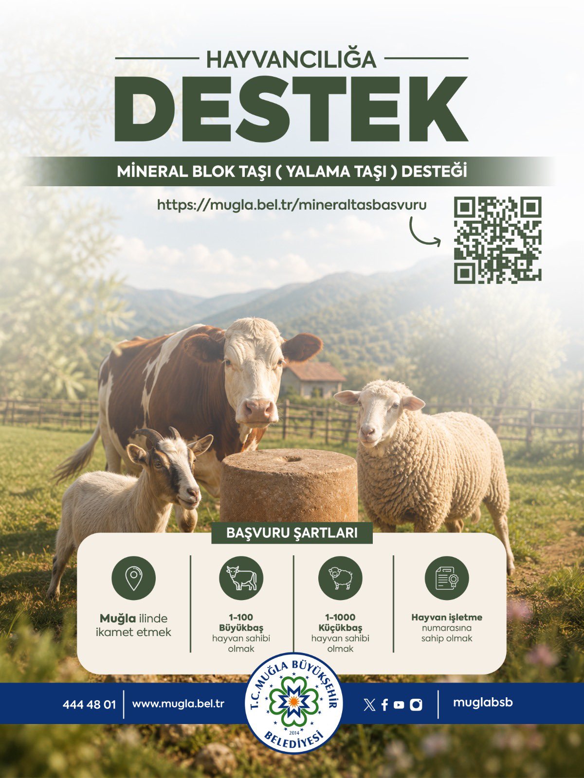 Muğla’da Hayvancılıkla Uğraşan Üreticilere Mineral Blok Desteği